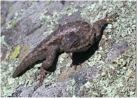 image6.jpg