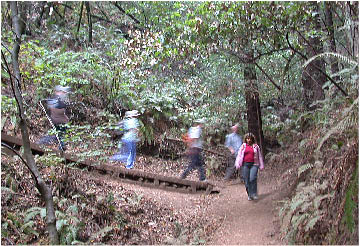 image6.jpg