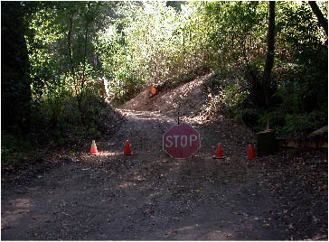 image2.jpg