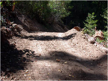 image3.jpg