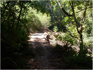 image4.jpg