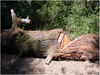 image5.jpg
