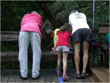 image9.jpg