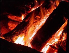 image9.jpg