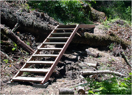 image2.jpg