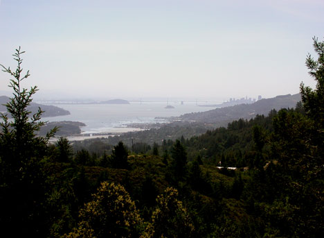 DSCN6630