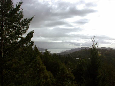 image5.jpg