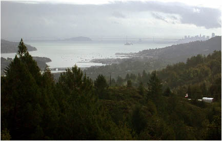 image6.jpg