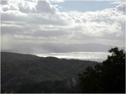 image8.jpg