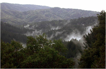 image9.jpg