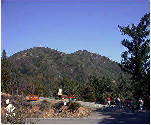 image4.jpg