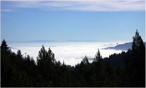 image6.jpg