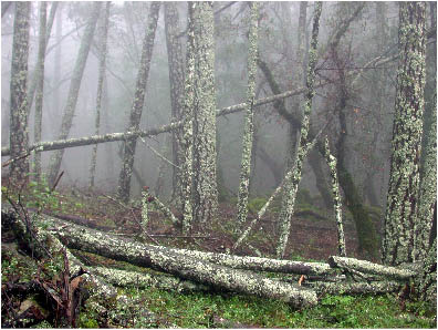 image4.jpg
