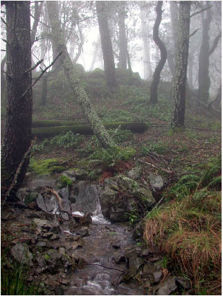 image5.jpg