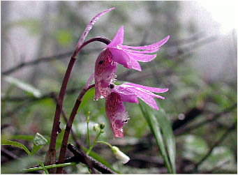 image6.jpg