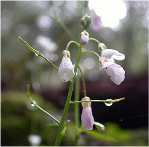 image8.jpg
