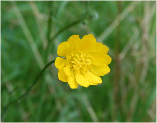 image5.jpg