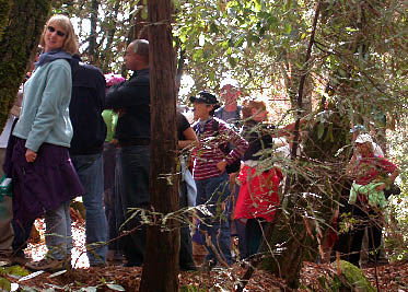 image10.jpg