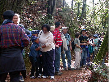 image8.jpg