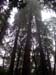 DSCN6216