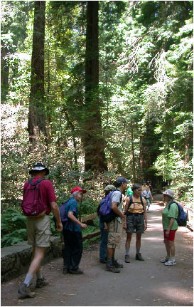 image11.jpg