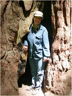 image12.jpg