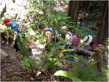 image14.jpg