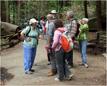 image10.jpg