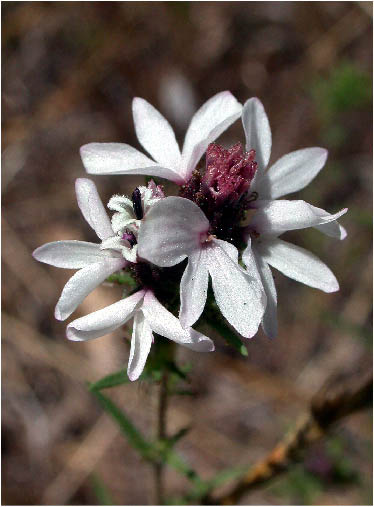 image20.jpg
