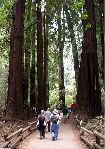 image9.jpg