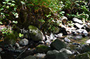 DSC_2330,2054