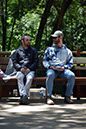 The Land Mem Day 2025 (2)