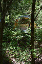 The Land Mem Day 2025 (5)