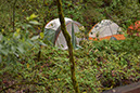 TheLandMD24-Misc (8)