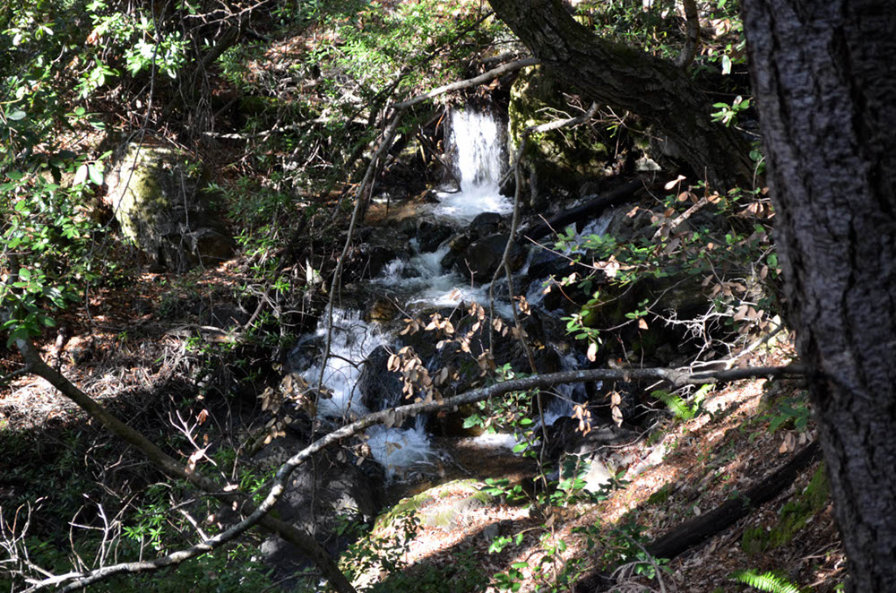 DSC_3091