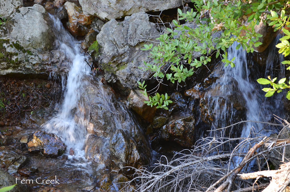 DSC_3150