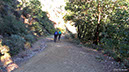 DSC_3155,IMG_7478, 286