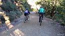 DSC_3155,IMG_7478, 100