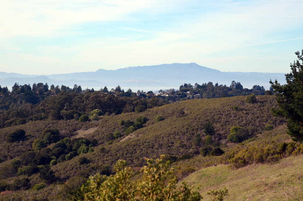 DSC_4309
