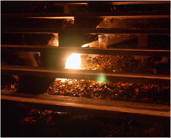 image14.jpg