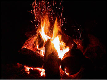 image19.jpg