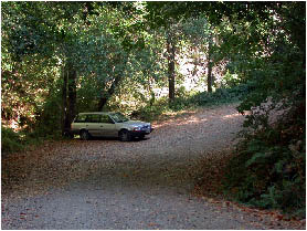 image1.jpg