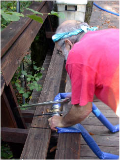 image2.jpg
