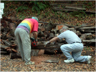 image4.jpg