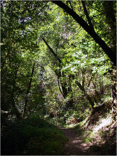 image121.jpg