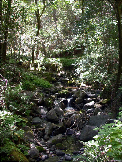 image123.jpg