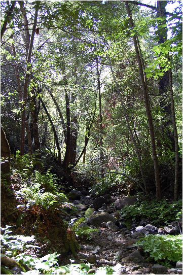 image1.jpg