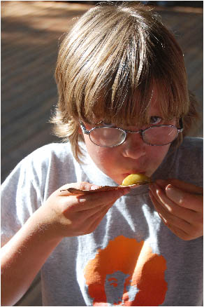 image43.jpg
