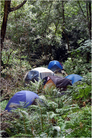 image60.jpg