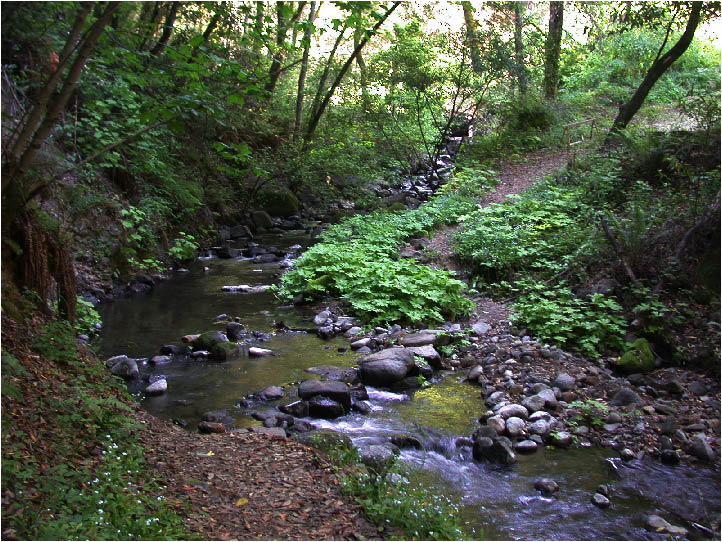 image1.jpg